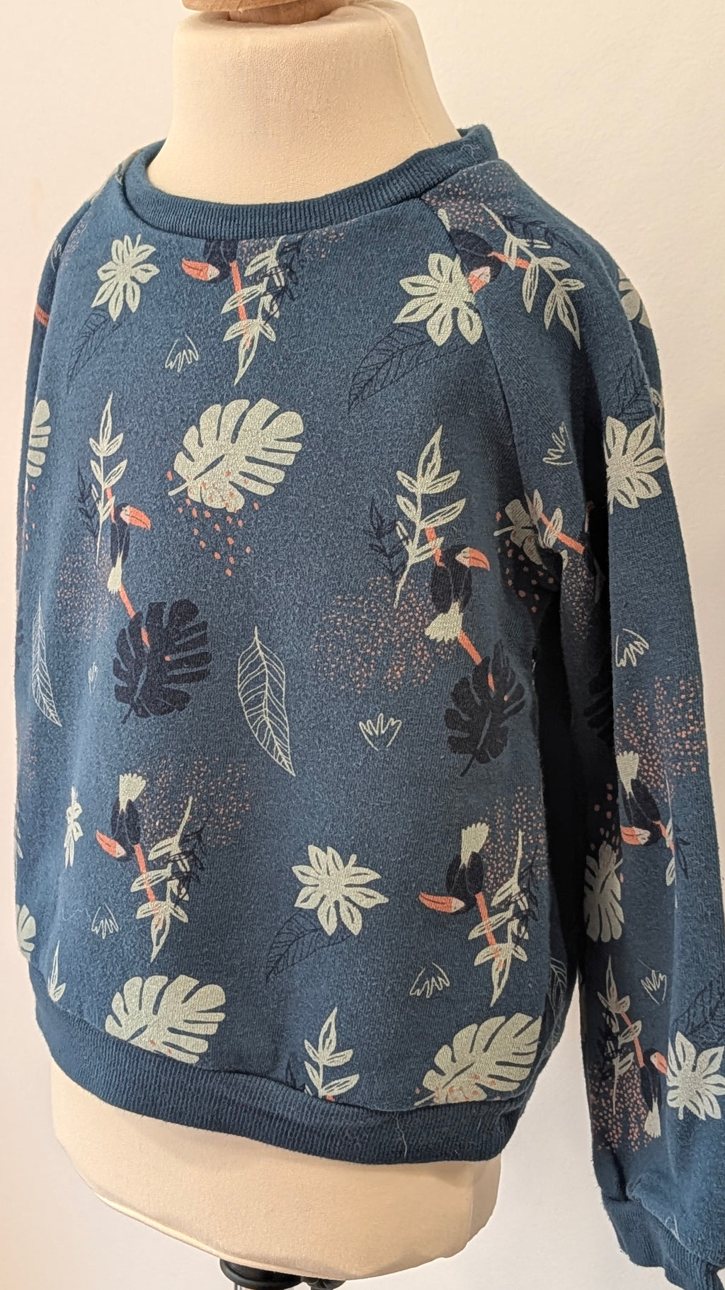 Sweat Petit Béguin bleu - 36 Mois
