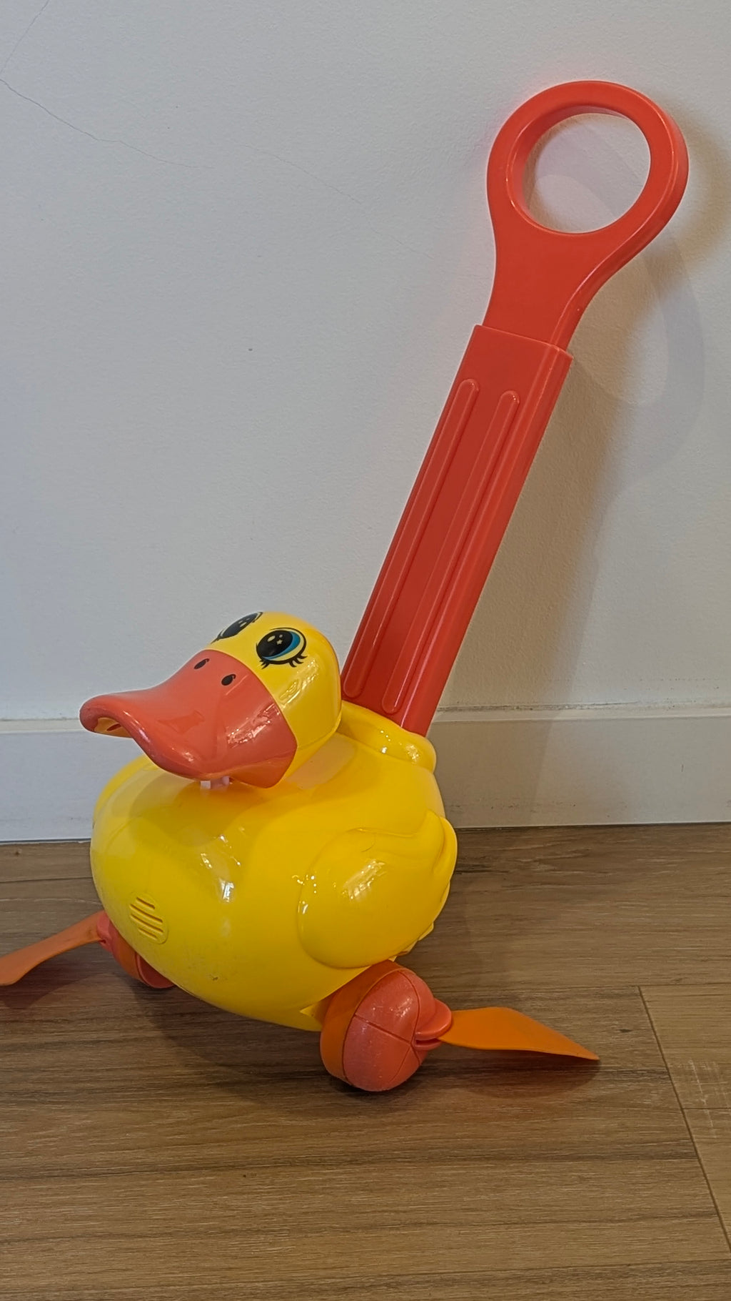 Canard à pousser
