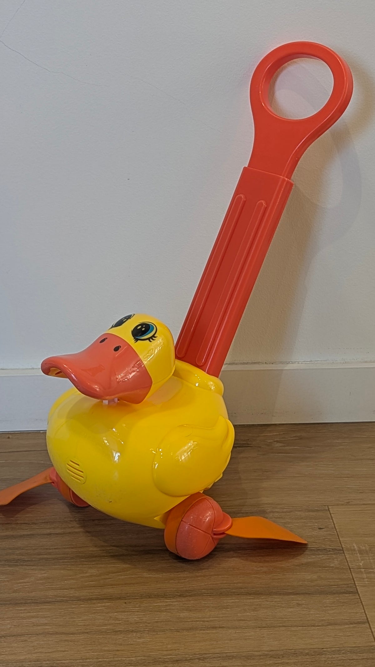 Canard à pousser