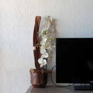 jpeg 20260406 111444 4313868654250508784.jpg